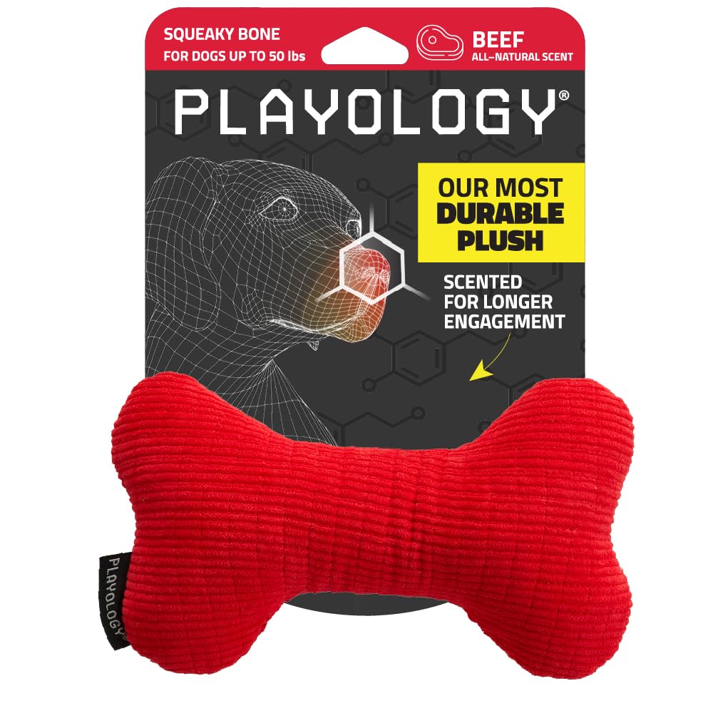 Playology Dog Toys Plush Squeaky Bone Chew Toy for Dogs Medium Beef  Scented Toy Easy to Clean and Made from Non Toxic Materials