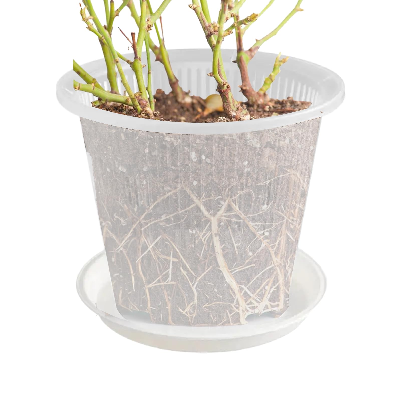 Keyubria Clear Orchid Pot, 16cm ABS Plant Pots with Drainage Hole and Tray, Small Nursery Flowerpot for Potting Orchids Seed Cutting Succulents Indoor Outdoor Plants