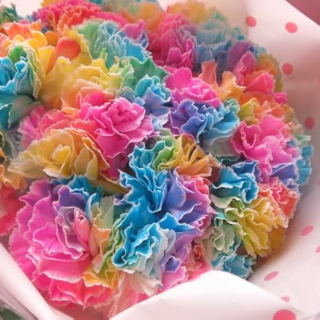 Amazon 母の日 花束 レインボーカーネーション ミックス系 花束 本 母の日期間限定商品 花束 オンライン通販