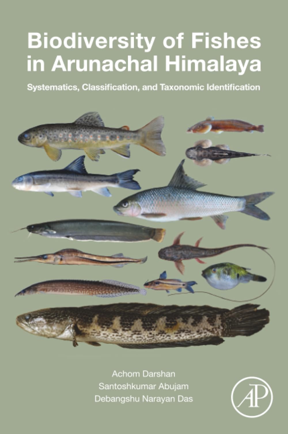 Biodiversity of Fishes in Arunachal Himalaya: Systematics, Classification, and Taxonomic Identification