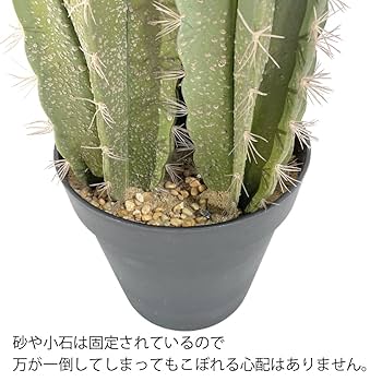 Amazon｜柱サボテン (3本柱) 高さ180cm P03971 本物のような質感