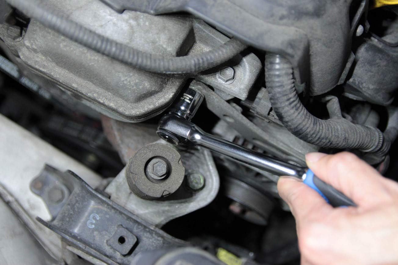 Signet 12134 3/8DR 19PC Short Socket Set (6 Angle) 12134