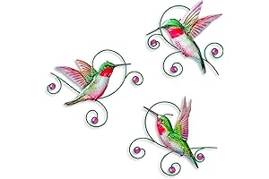 VividLadybug Hummingbird Wall Art Decor