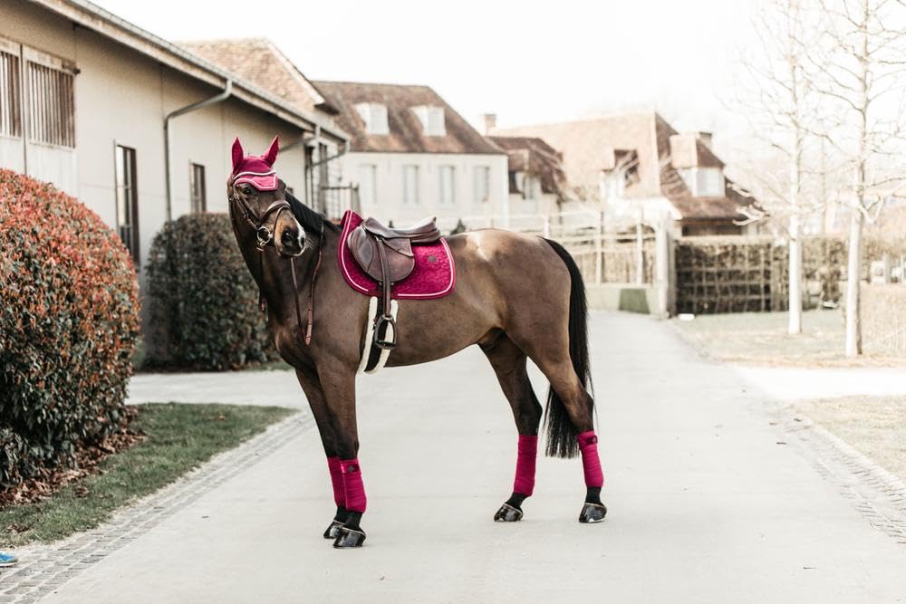 Kentucky Bandes de Polo pour Cheval Velvet