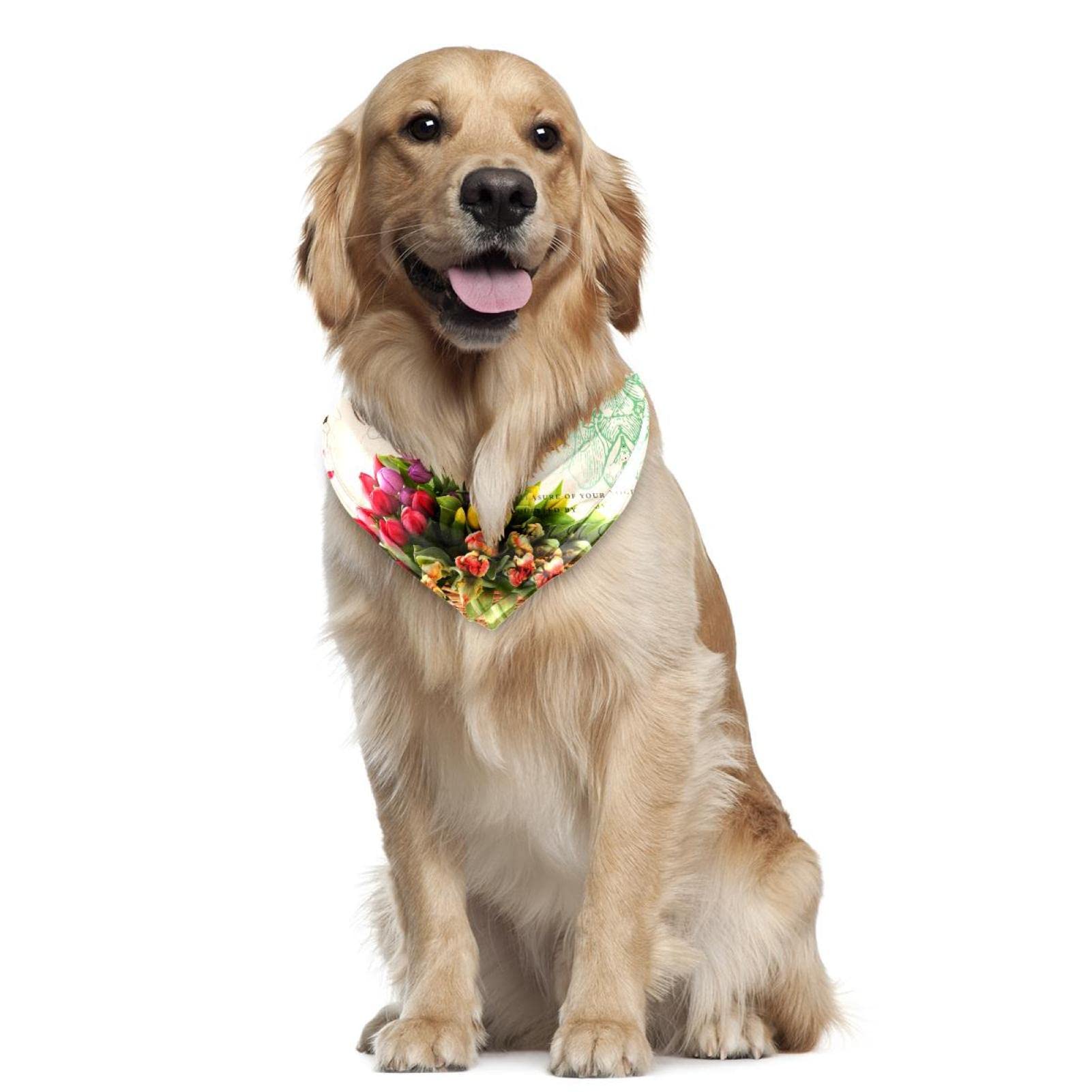 Set Hund Hundehalstücher, Niedliches Schlafmuster, Haustierschal, Chiffon,  Halstücher, Dreieck-Lätzchen, Zubehör Für Kleine, Mittelgroße Und Große  Hunde, Welpen, Haustiere, 2 Stück Hundehalstücher MIT Namen, image size:1601x1601