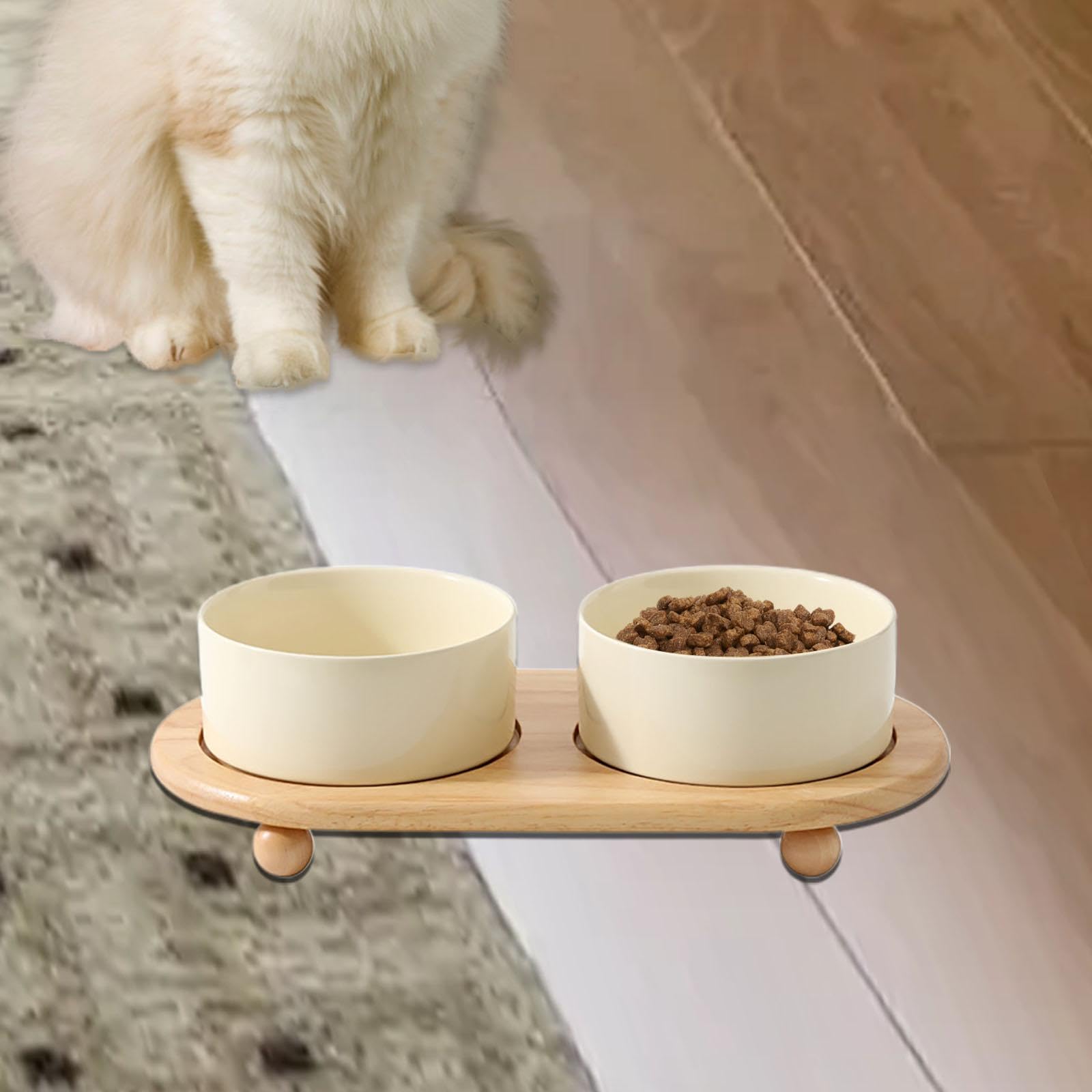 Ensemble de 3 Gamelles surélevées pour Chats avec Support, en Céramique. Structure Stable et Sûre, Idéale pour Les Petits Chats, Beige