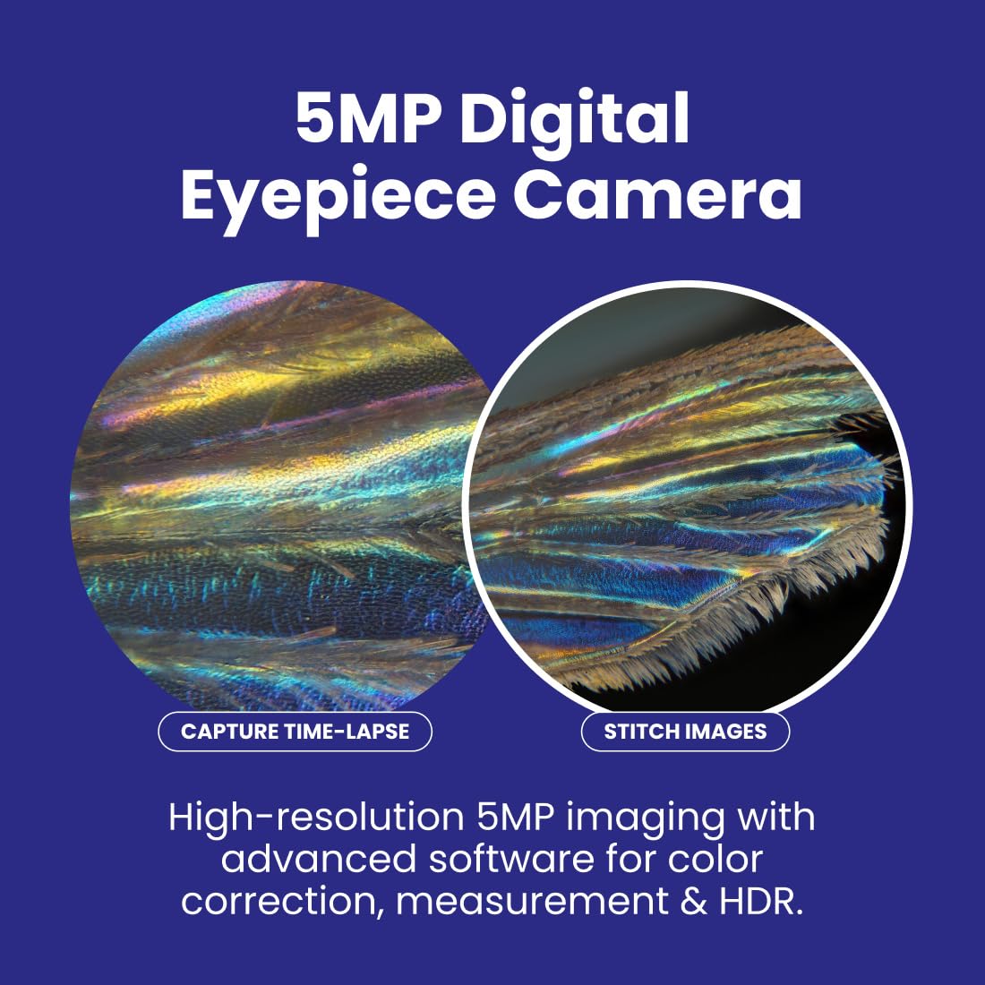 Amazon.co.jp: AmScope 3Dステージと5MP USBカメラと40X-2500X LED