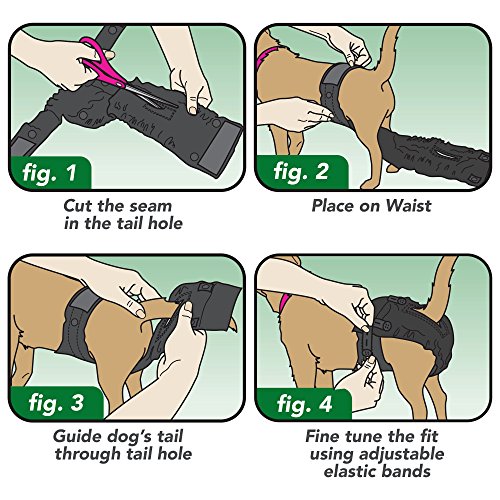 Image of Vet's Best Perfect Fit Washable Female Dog Diaper, 1 count