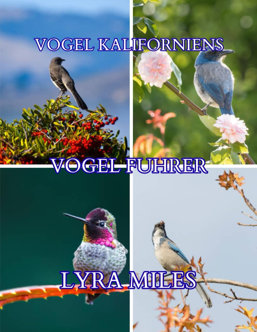 Feldführer für Vögel Kaliforniens: Vogelbestimmung in Arizona: Entdecken Sie Vogelarten, Gewohnheiten und Verhaltensweisen in Wüsten, Gebirgen, Feuchtgebieten und Gärten.