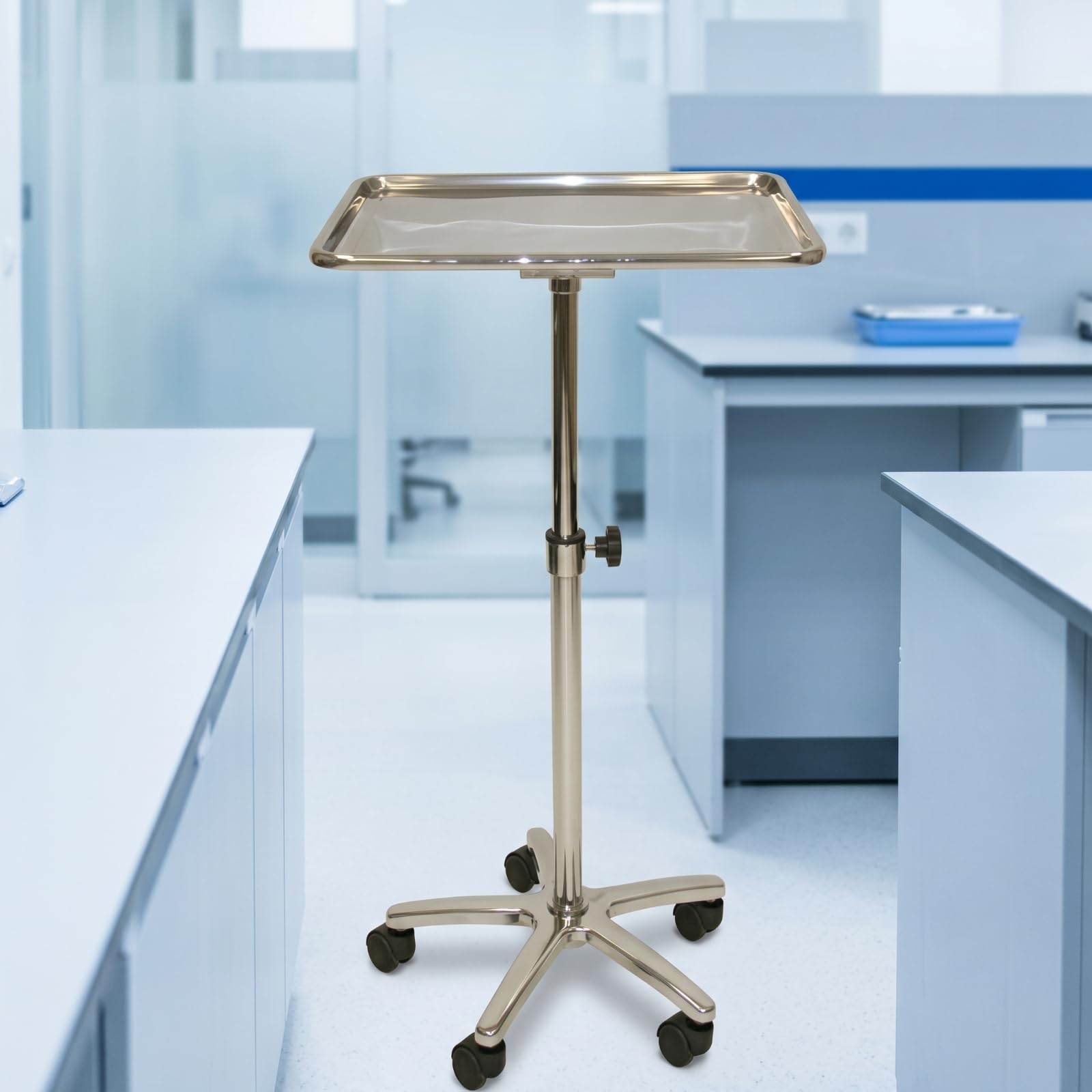 harayaa Carrello in Acciaio Inox Carrello da Studio Tavolo Ruote Colonna con Altezza Regolabile Vassoio con Bordi Anticaduta Adatto per Ambulatori Centri Benessere Saloni Laboratori Uffici