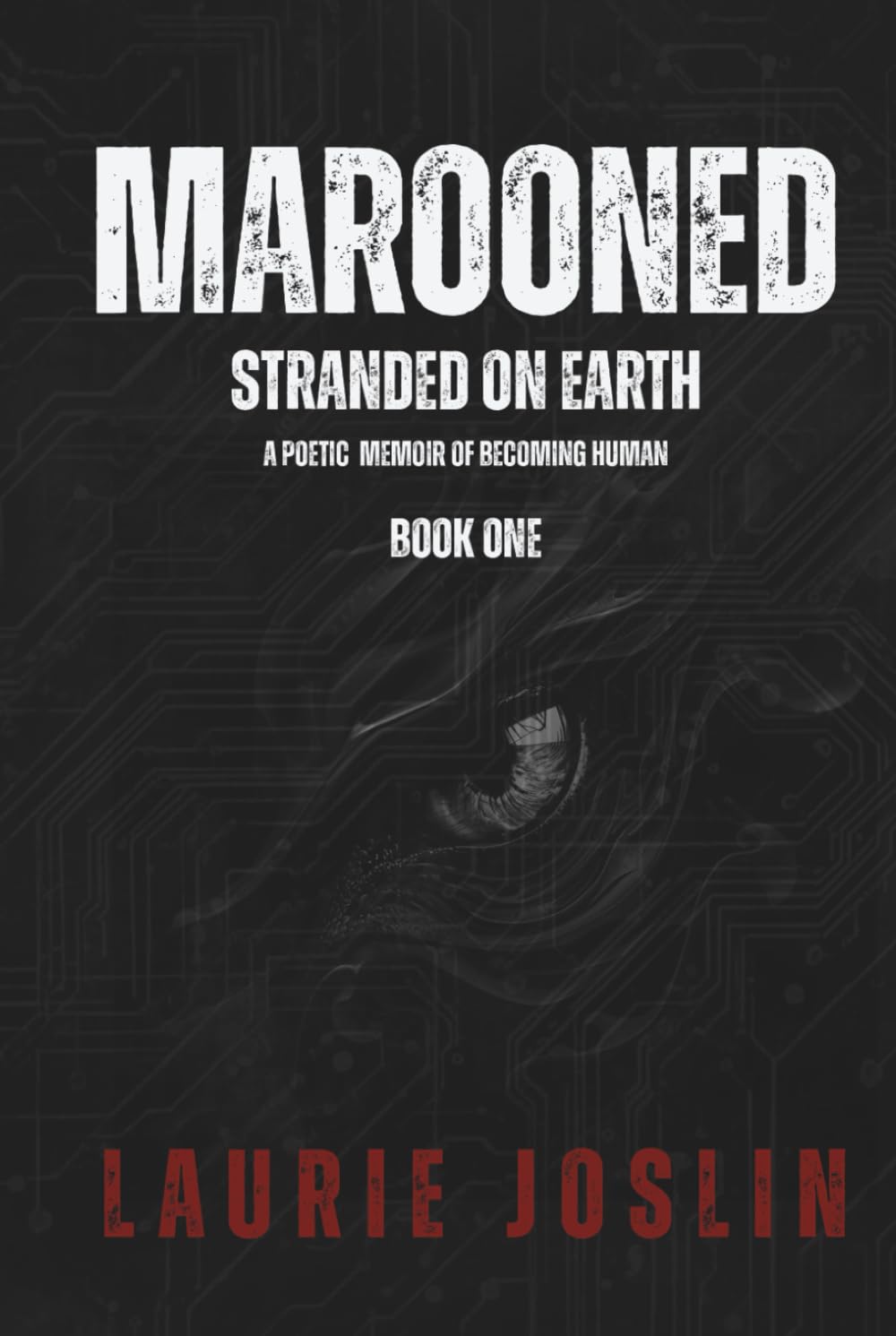 Marooned: Stranded on Earth: A Poetic Memoir of Becoming Human