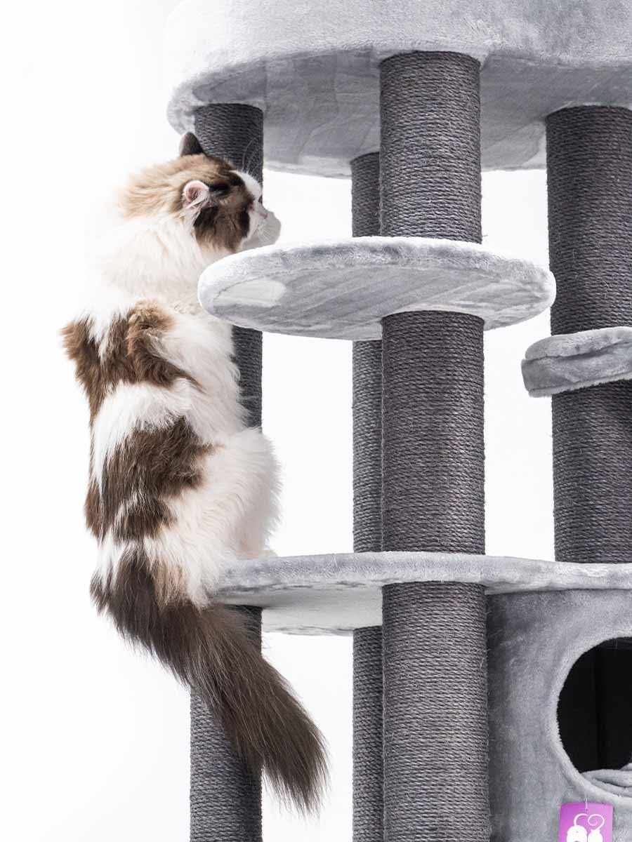 Petrebels Designerski drapak Isabella 170 cm, XXL drapak dla dużych kotów, Maine Coon, kolor szary