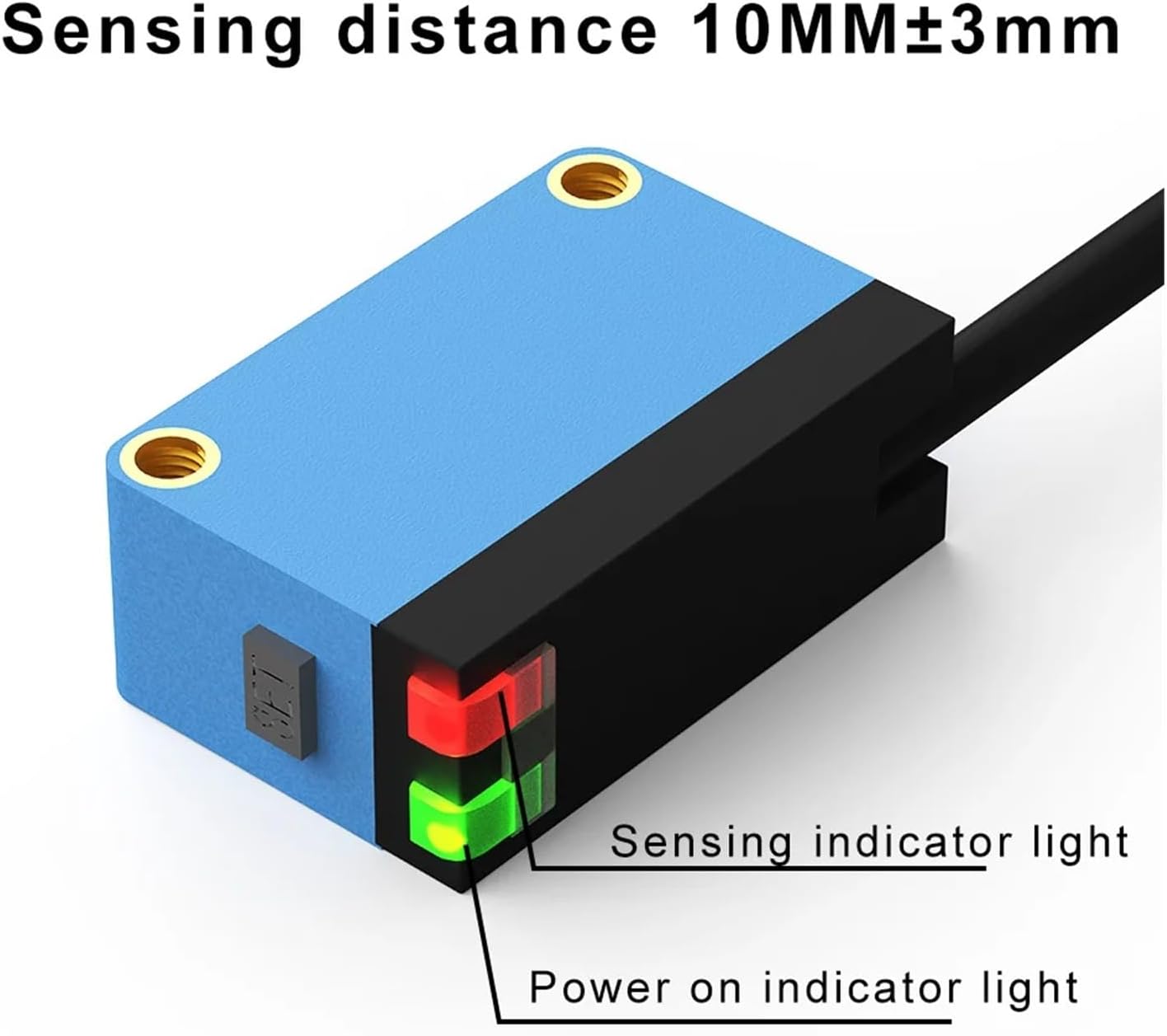 和歌山古谷石 水越し 百穂 奇石特集2-2.jpg