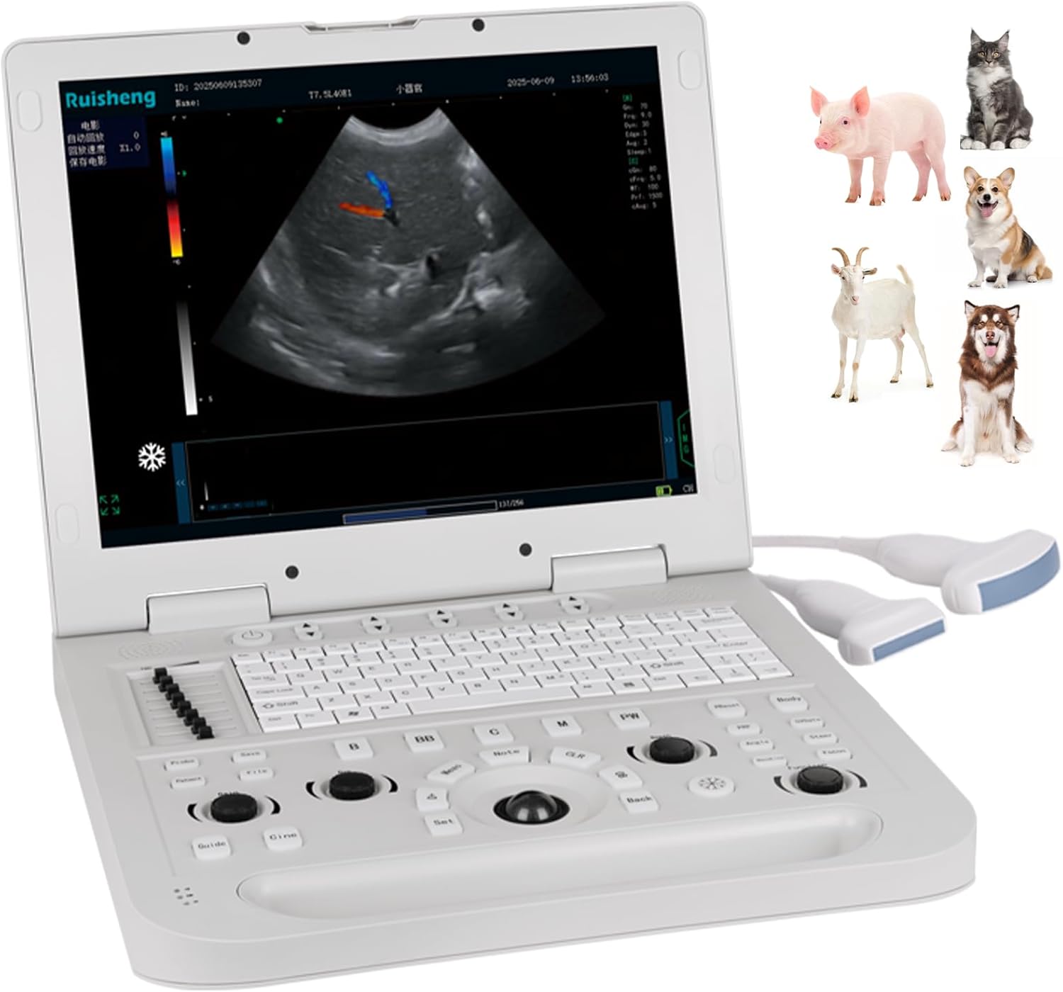 CU3 Veterinary Color Doppler Ultrasound, Dual Probe, Waterproof, 10.5lbs Portable 6000mAh Battery for Livestock Pets Farm Field Pregnancy & Disease Detection (Convex & Linear Array Probes)