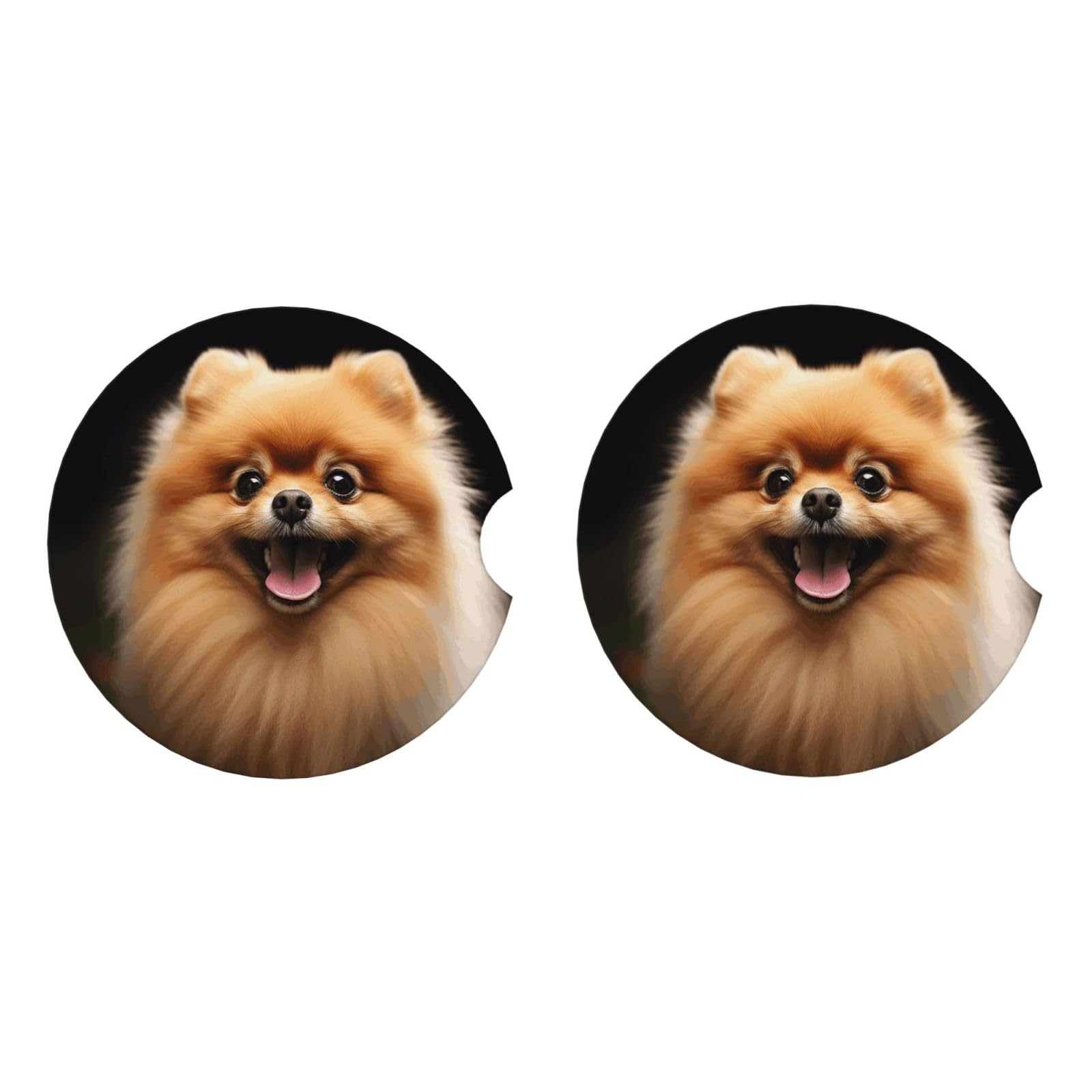 Ceramic Coasters for Drinks White Drink Coasters with Metal Holder Pomeranian Ceramic Coaster Set of 2 Tabletop Protection Mat for Home Decor