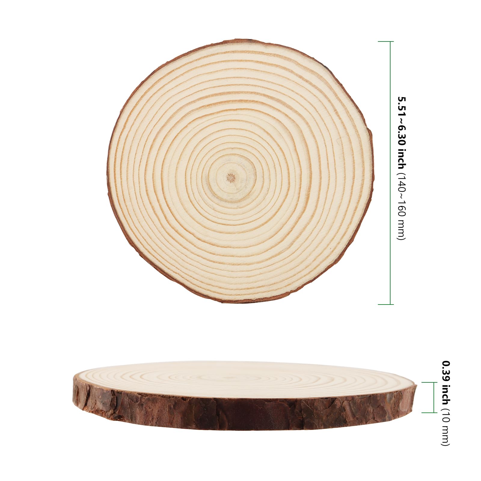 HAKZEON 20 Stück 14–16 cm natürliche Holzscheiben, 1 cm dick, unlackierte Holzkreise, runde Holzscheiben für Bastelarbeiten, Hochzeitsdekorationen, Weihnachten, Heimdekoration, 14–16 cm Durchmesser
