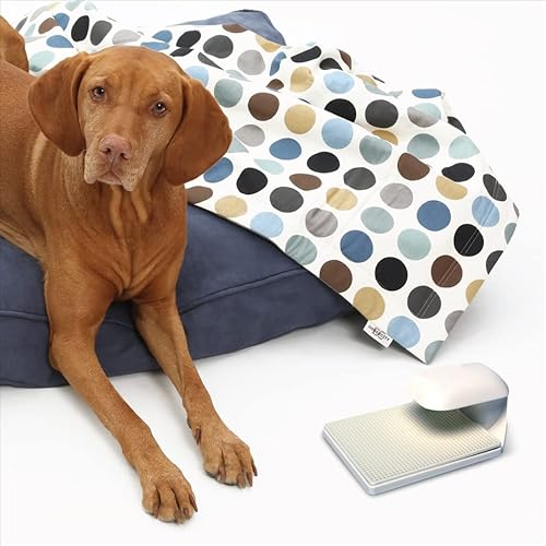 Enoz Trap-N-Kill Flea Trap - (Pack Of 3) - Traps And Kills Fleas - Light Bulb And Sticky Pad Design - Safe And Effective - Reusable Flea Trap #TOP4