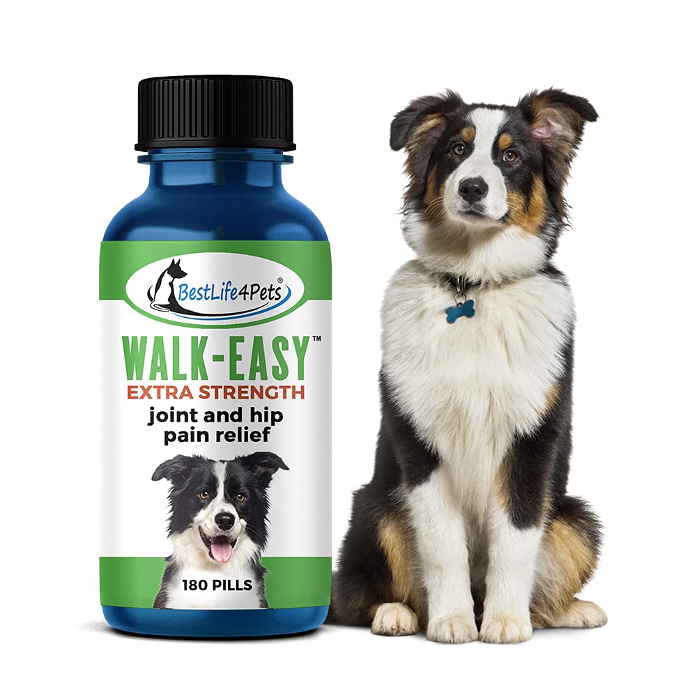 Can Dogs Smell Inflammation