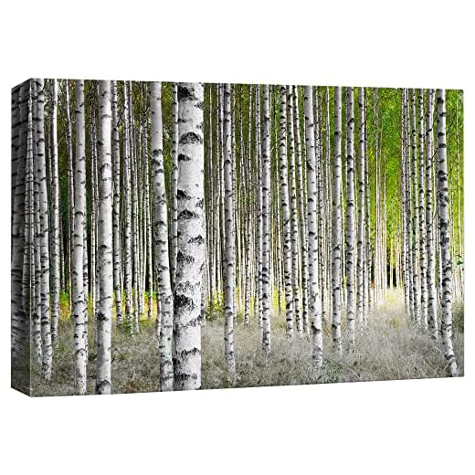wall26 Canvas Print Wall Art White Birch Trees in Green Forest Nature Wilderness Photography Modern Art Rustic Scenic Colorful Multicolor for Living Room, Bedroom, Office - 32"x48"