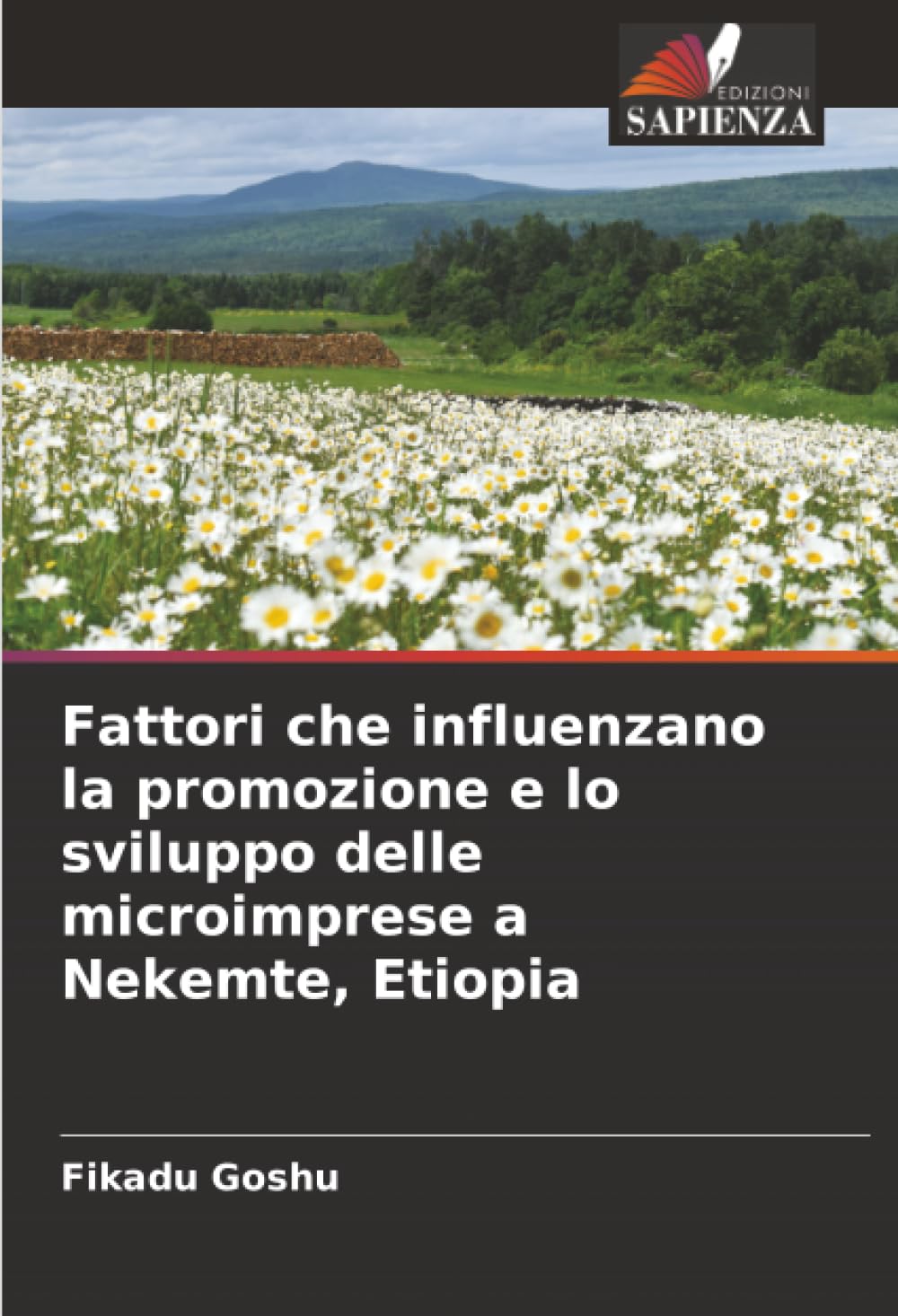 Fattori che influenzano la promozione e lo sviluppo delle microimprese a Nekemte, Etiopia