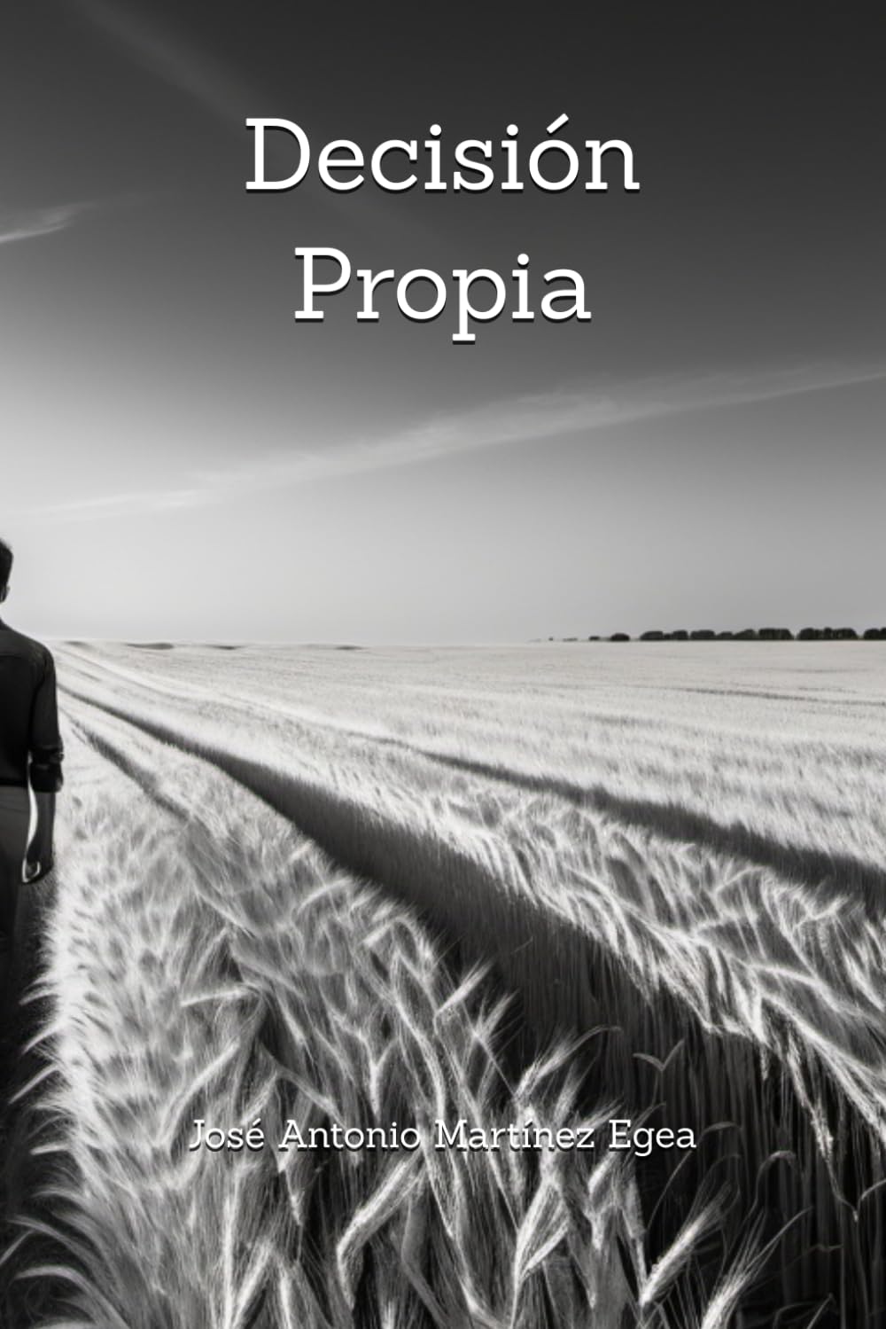 Decisión Propia
