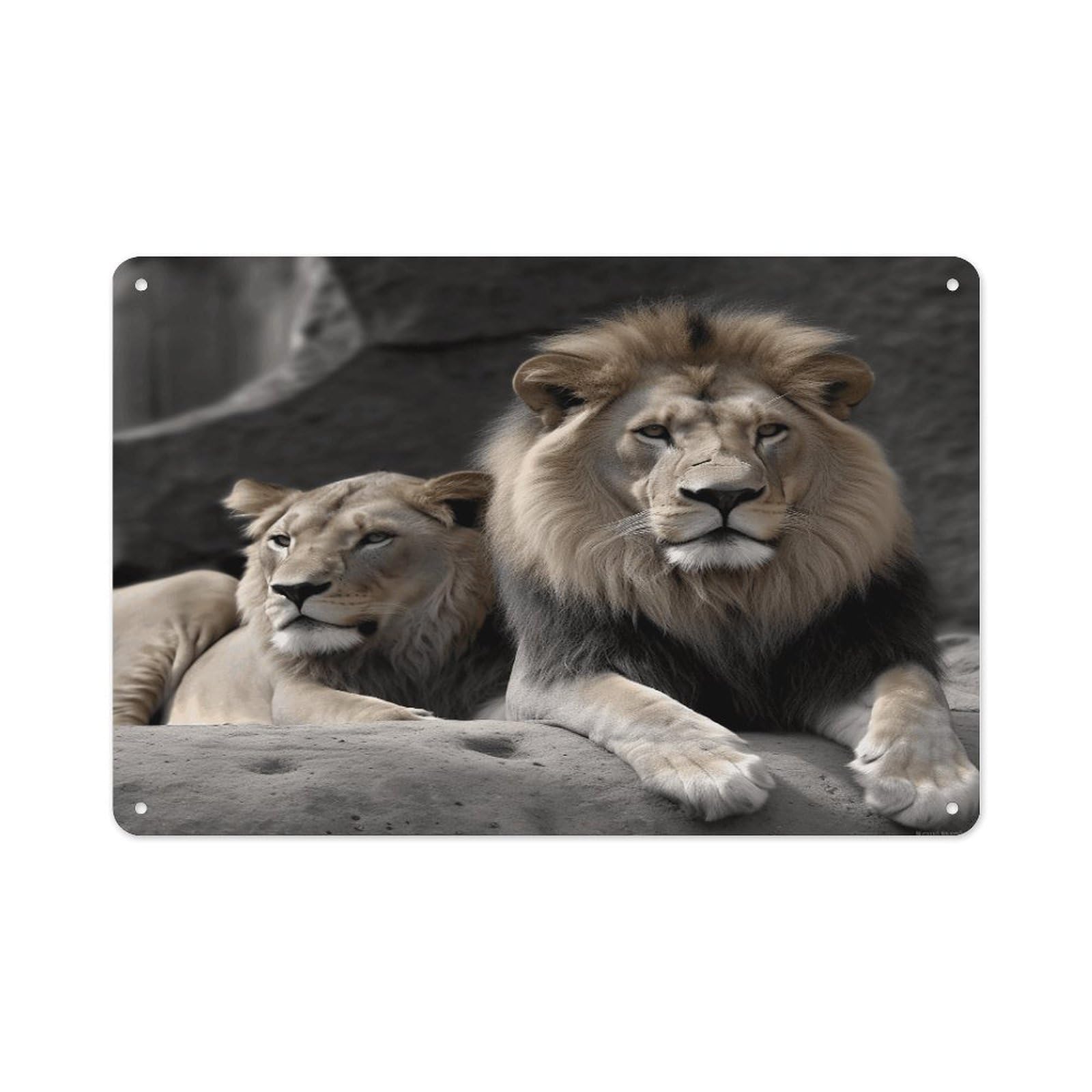VstaDank Metal Aluminum Male And Female Lions Sign Wall Decor Vintage Metal Sign Plaque Boho Wall Hanging Decor Sublimation Picture Panel Personalized Plaque Poster 8x12in
