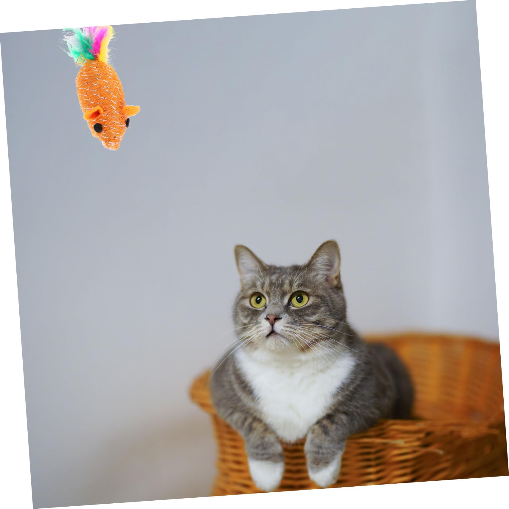 Yardwe 3 Juegos De Juguetes Molares Realistas para Gatos De Ratón De Suministros para Mascotas 10 Piezas X 3