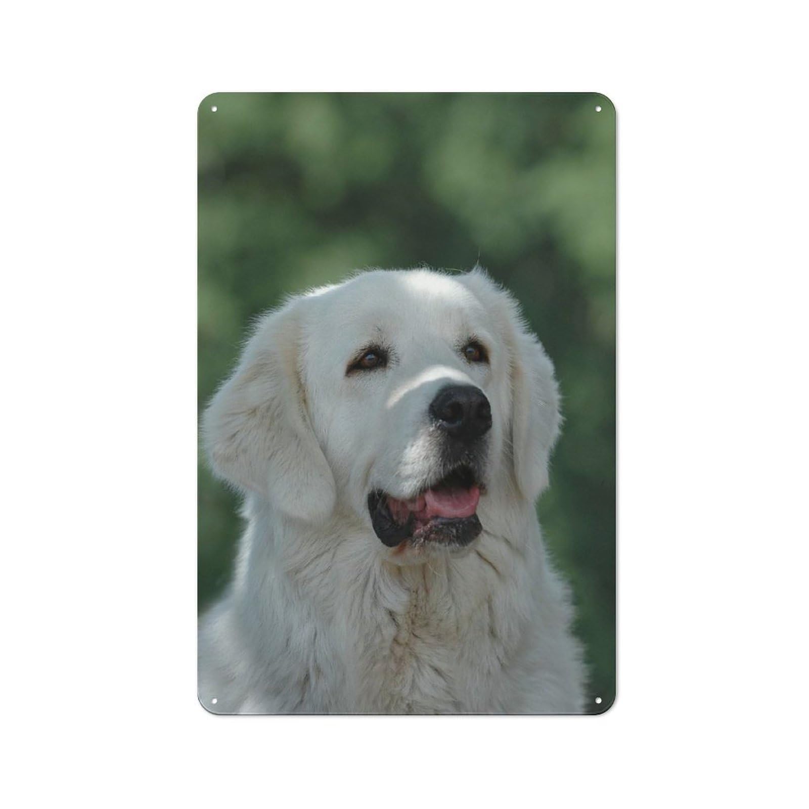 Junmoney Style-19 Metal Sign 30X20cm With Tatra Shepherd Dog For Workshop Wall, Vintage Decor, For Vintage Wall Decor Fans, For Metal Sign Collectors