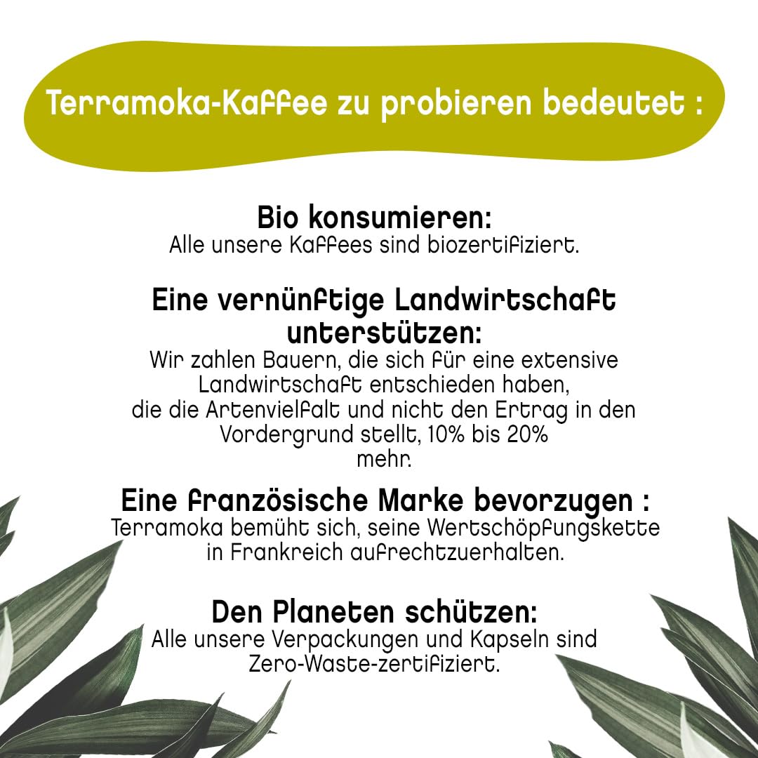 TERRAMOKA - 1 Kg Exzellenter Bio-Bohnenkaffee - 80% Reine Arabica (Mexiko, Brasilien) & 20% Robusta aus Tansania - Wohlschmeckend und anhaltend - 100% Recyclebar - Arthur - In Frankreich geröstet