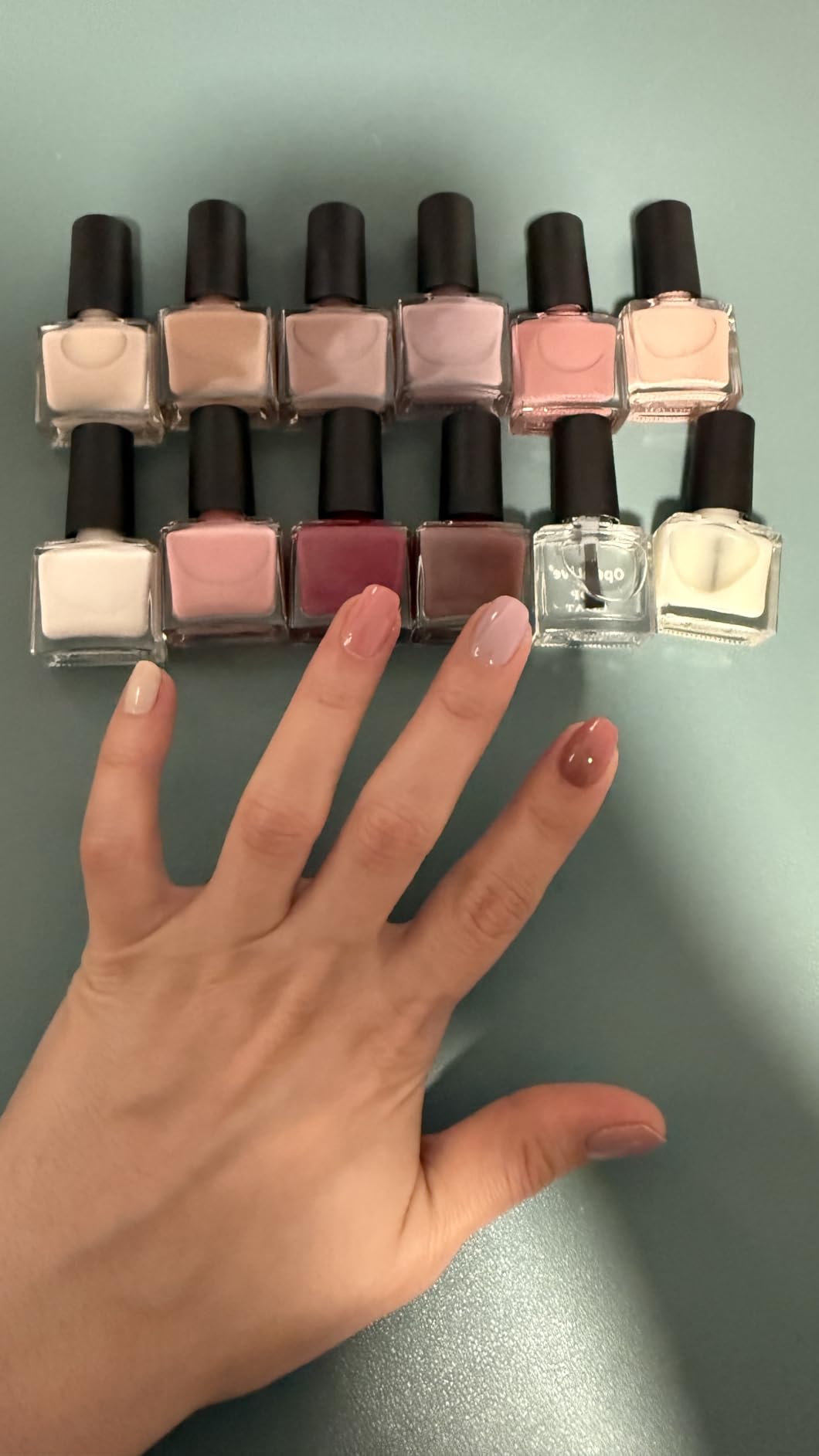 OpenLive 12 PCS Nail Polish Set 10 Color With 2PCS Base and Top Coat Quick Drying Fall Nude Brown White Red Color for Her 5ML