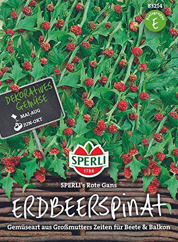 Preisvergleich Produktbild Sperli Gemüsesamen Erdbeerspinat Rote Gans, grün