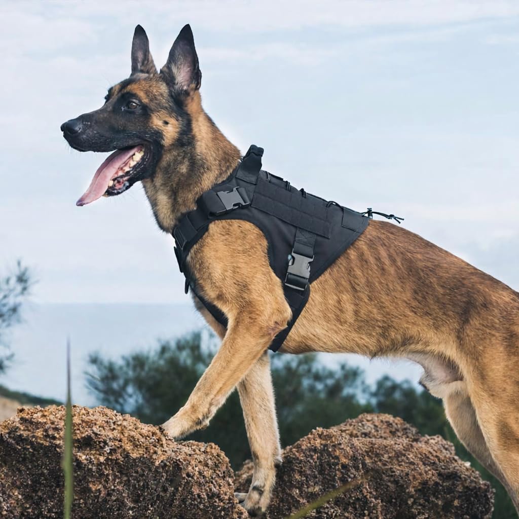 WapaW Dog Harness No-Pull Pet Harness Adjustable Outdoor Pet Vest 3M Reflective Oxford Material Vest for Dogs Easy Control for Small Medium Large Dogs (Tactical Black, Small (Harness + Leash)) 4