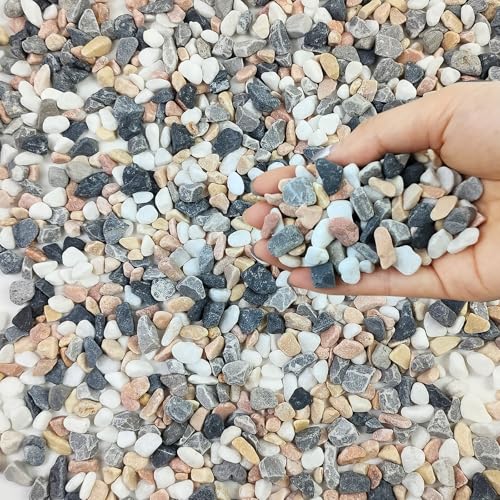 FANTIAN 2 lbs Succulent and Cactus Pebbles Pea Gravel 6-9 mm Colour Decorative Stones for Plants Pots Vases Terrarium Aquarium Potted Top Dressing and Outdoor Path Driveway(0.9 KG)