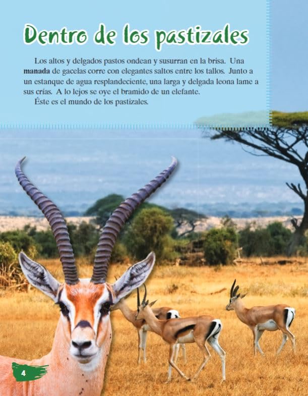 Los pastizales africanos (African Grasslands) (Spanish Version) (TIME FOR KIDS(r) Nonfiction Readers) (Spanish Edition) - Image 4