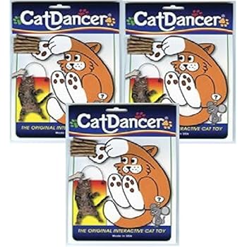 cat dancer