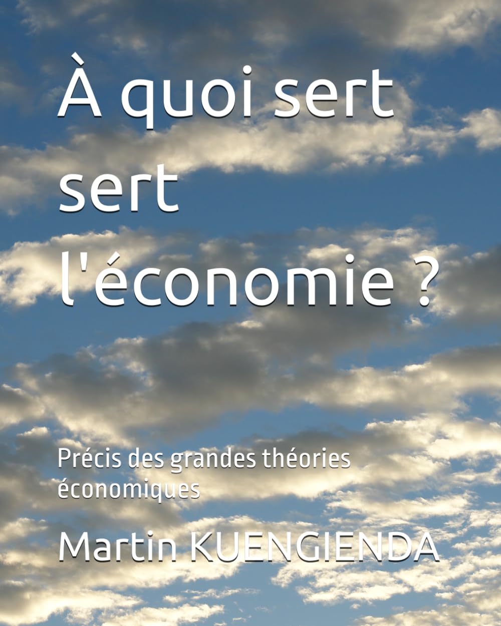À quoi sert sert l'économie ?: Précis des grandes théories économiques (Point de vue économique)