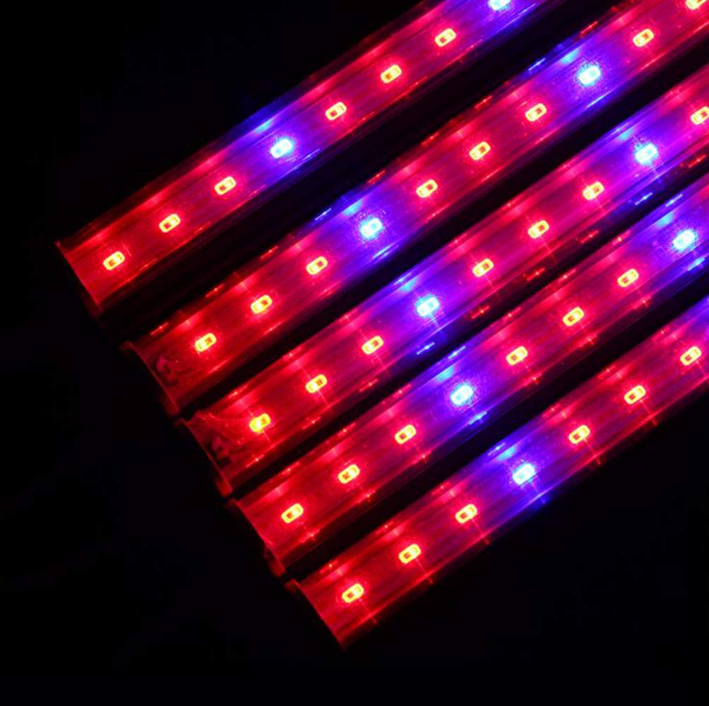 LED Crece la lámpara 5PCS Full Spectrum LED Crece la luz de Garland Invernadero hidropónico Vegetal Flor Cultivo de Interior