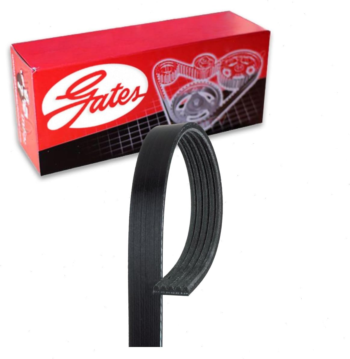 Gates Micro-V Serpentine Belt compatible with Chevrolet Cruze 1.4L L4 2012-2016