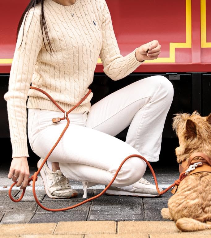 Amazon | ハンズフリーリード 【HOZI】 韓国ブランド ロープ 散歩