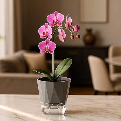 Miniatura 2 de Paquete de 5 macetas de riego automático para plantas de interior, macetas de riego automático de 5/6.7/8.4 pulgadas, color violeta africano, Gris