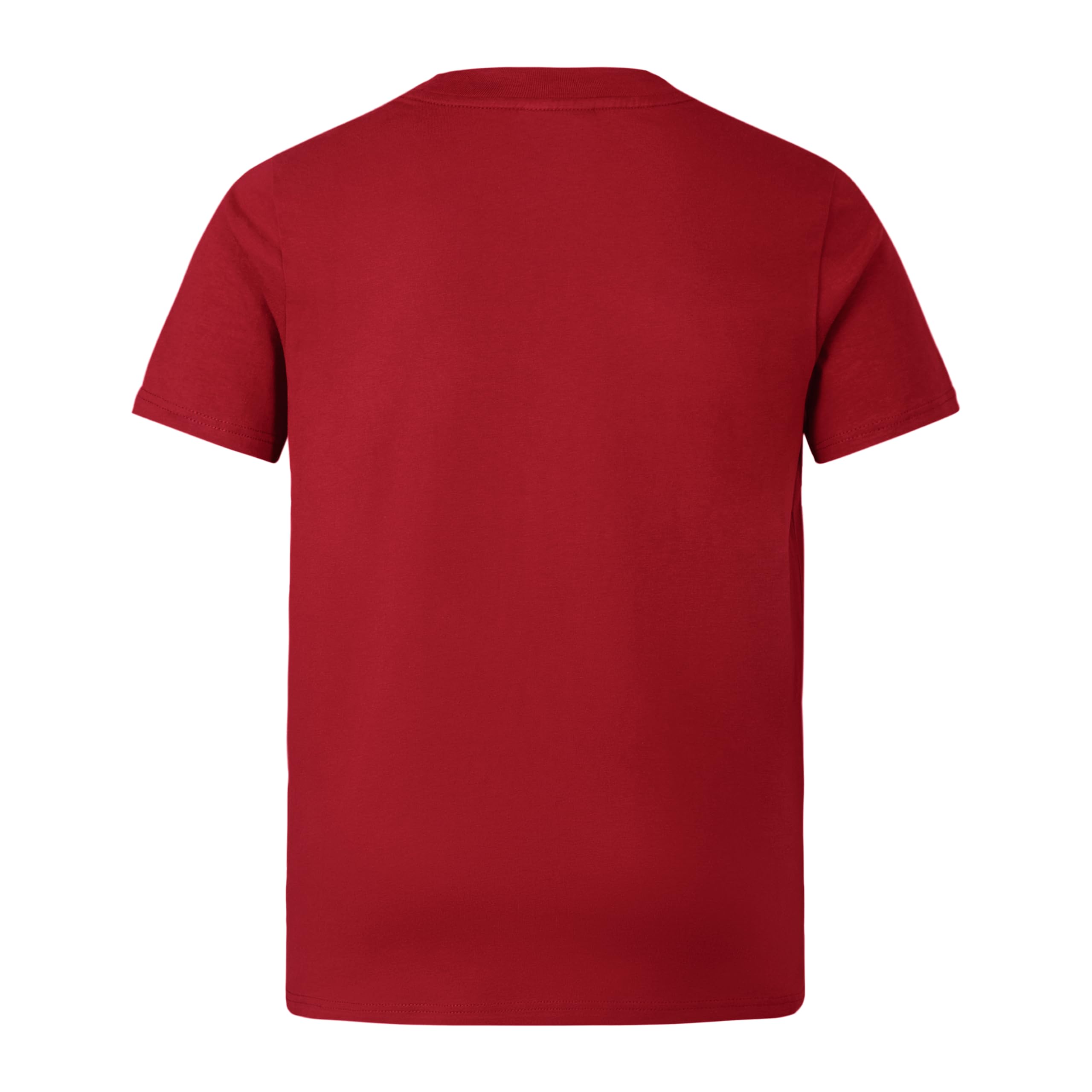 Canterbury British and Irish Lions Cotton Camisa Unisex niños (Pack de 1)