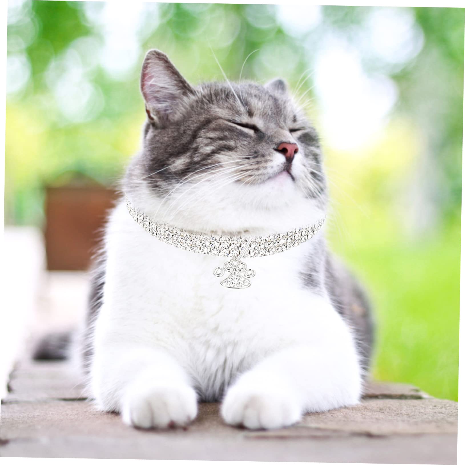 BESPORTBLE 9pezzi Collane Decorative per Gatti e Cani di Collari con Strass Accessori Eleganti e Resistenti all Usura per Pet Facili da Indossare e Rimuovere per Feste e Occasioni Speciali