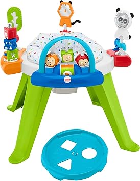 Infant to Toddler Toy 