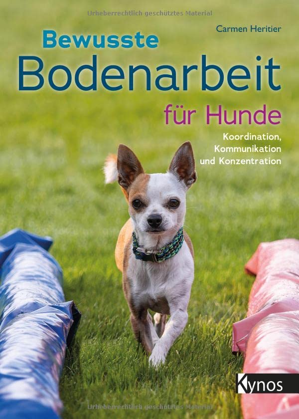 Bewusste Bodenarbeit für Hunde: Koordination, Kommunikation und Konzentration