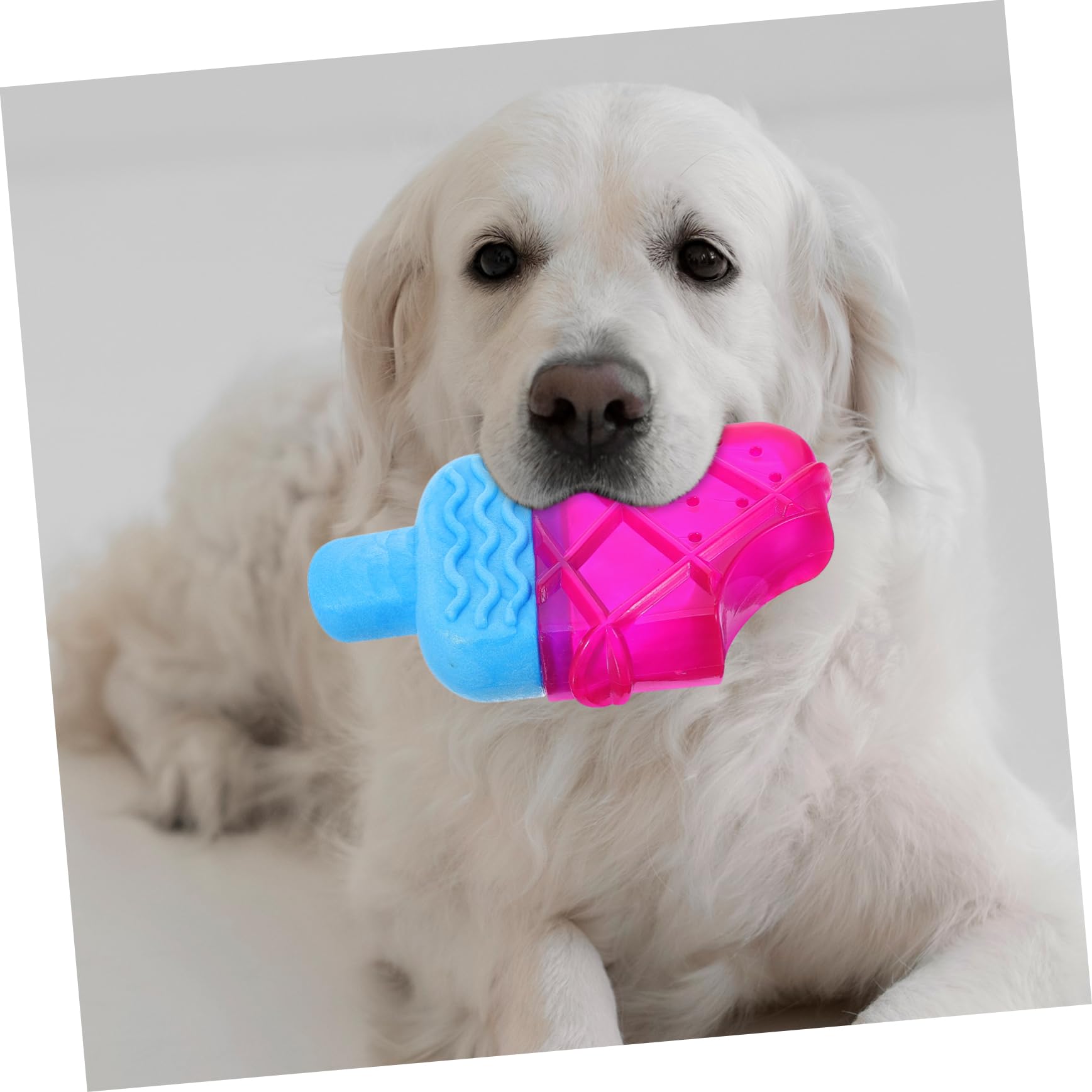 HANABASS 5pièces Jouet à Mâcher pour Chiots Forme De Glace Jouet Rafraîchissant pour à Congeler pour Soulager Gencives Et Nettoyer Dents des Chiens