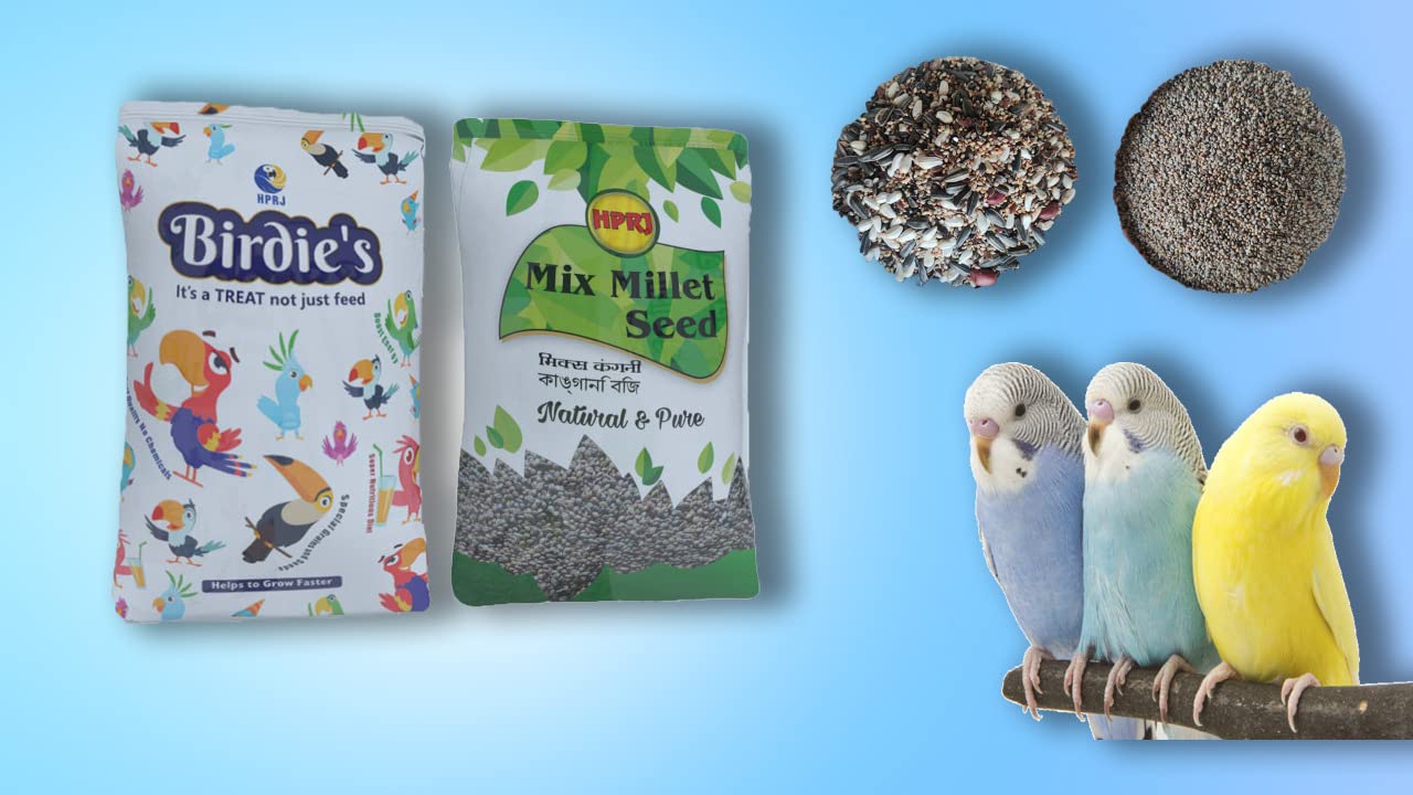 Birdies Combo of Mix Millet (KANGANI) 1Kg + 1Kg Mix Seeds for Small Size Birds (Lovebird & Budgies), 100% Natural, Veterinary Approved (B09Z2Y8RX4) Amazon Price History, Amazon Price Tracker