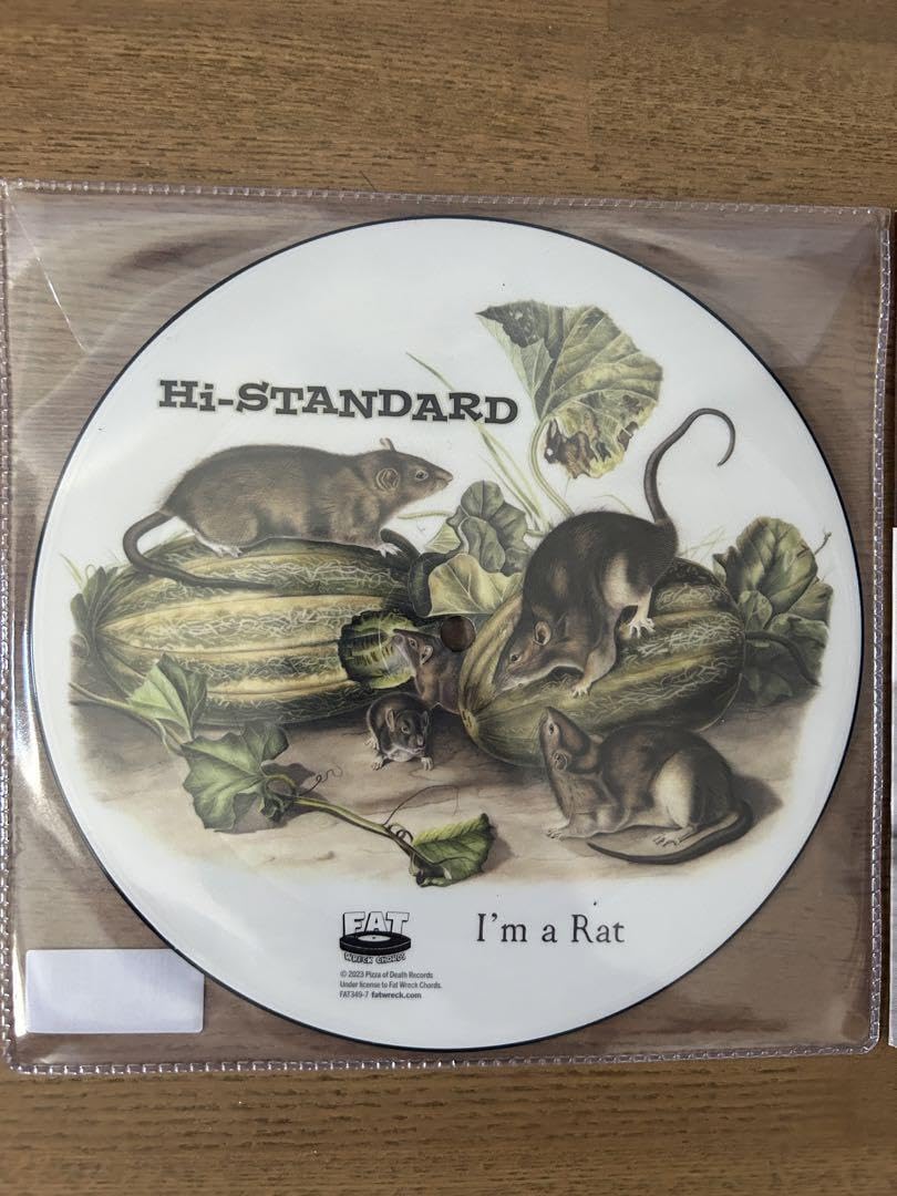 Amazon.co.jp: hi-standard ハイスタ 7インチレコード 2枚セット