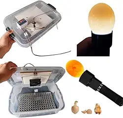 Chocadeira Pet 220 ou 120 Volts Com Ovoscopio Cooler Para 30 Ovos De Galinha Ou 90 De Codorna