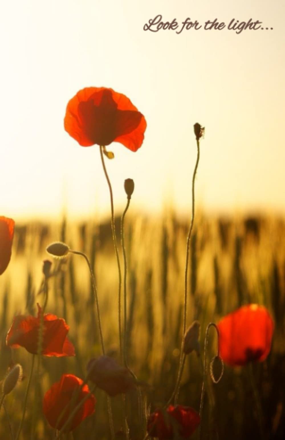 Look for the light...: A Daily Gratitude Journal