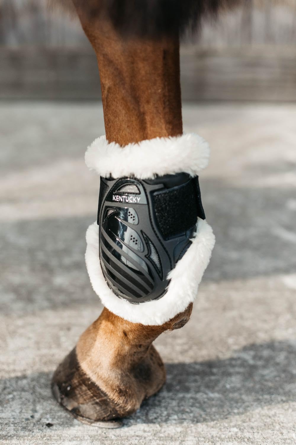 Kentucky Protector Vegano del Nódulo para Caballos Jóvenes